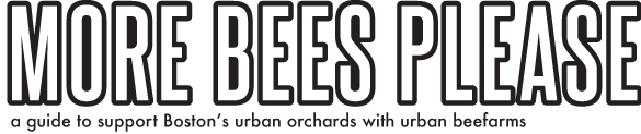 orchardbees