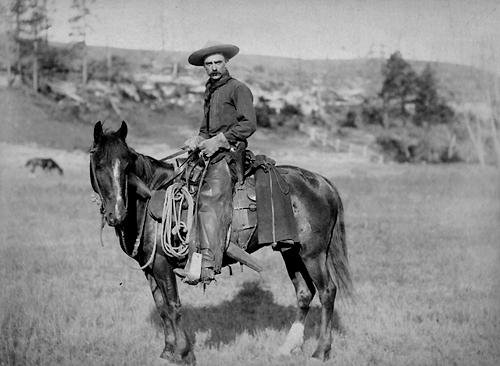 cowboysolo